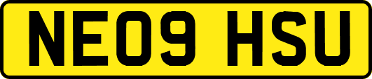 NE09HSU