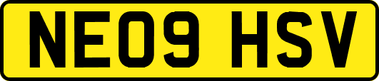 NE09HSV