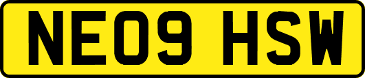 NE09HSW