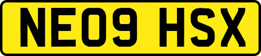 NE09HSX