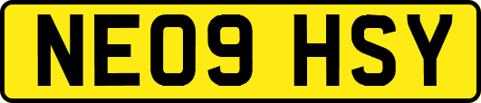 NE09HSY