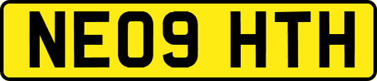 NE09HTH