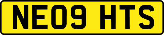NE09HTS