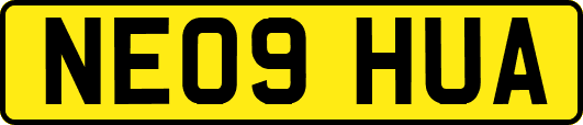 NE09HUA