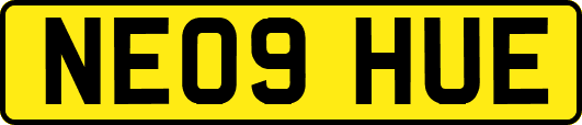 NE09HUE