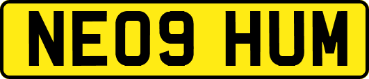 NE09HUM
