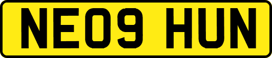 NE09HUN