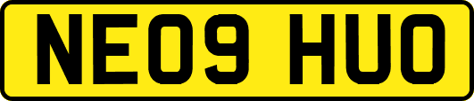 NE09HUO