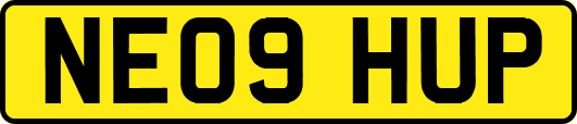 NE09HUP