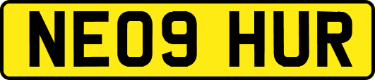 NE09HUR