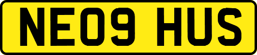 NE09HUS