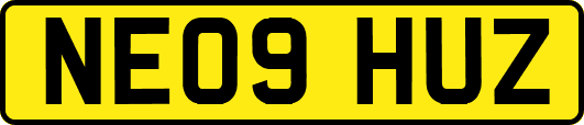NE09HUZ