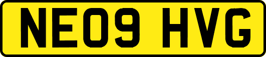 NE09HVG