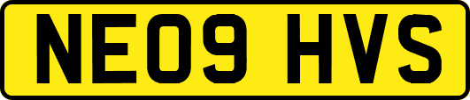 NE09HVS