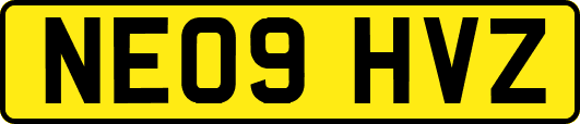 NE09HVZ