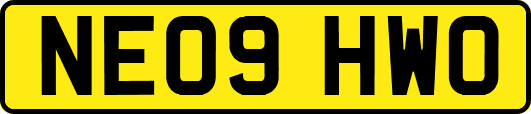 NE09HWO