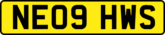 NE09HWS