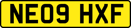 NE09HXF
