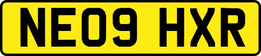 NE09HXR