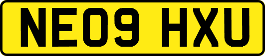 NE09HXU