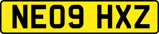NE09HXZ