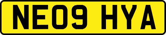 NE09HYA
