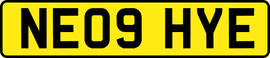 NE09HYE