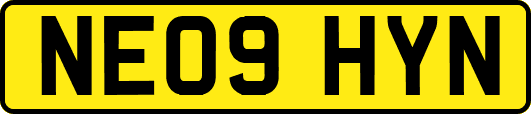 NE09HYN