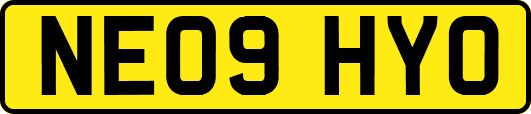 NE09HYO