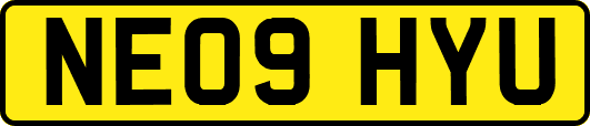 NE09HYU
