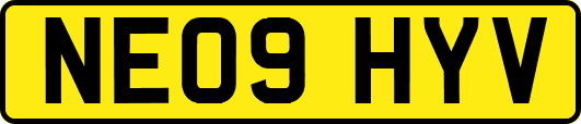 NE09HYV