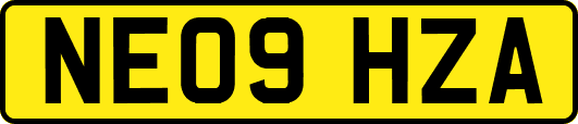 NE09HZA