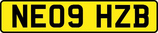 NE09HZB