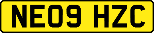 NE09HZC