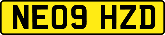 NE09HZD