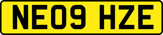 NE09HZE