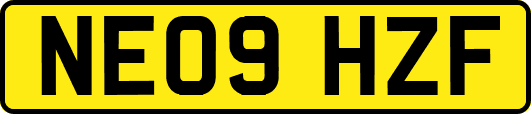 NE09HZF