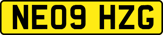 NE09HZG