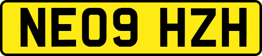 NE09HZH
