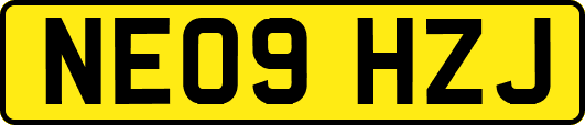 NE09HZJ