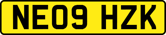 NE09HZK