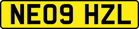 NE09HZL