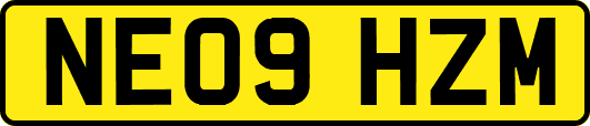 NE09HZM