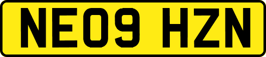 NE09HZN