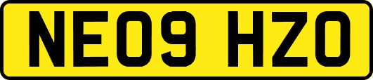 NE09HZO