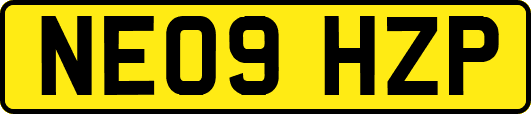 NE09HZP