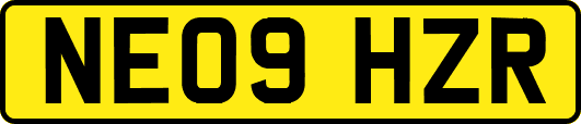 NE09HZR