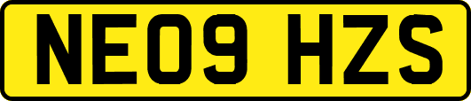 NE09HZS