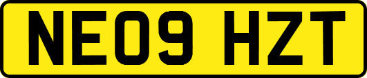 NE09HZT
