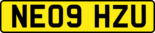NE09HZU